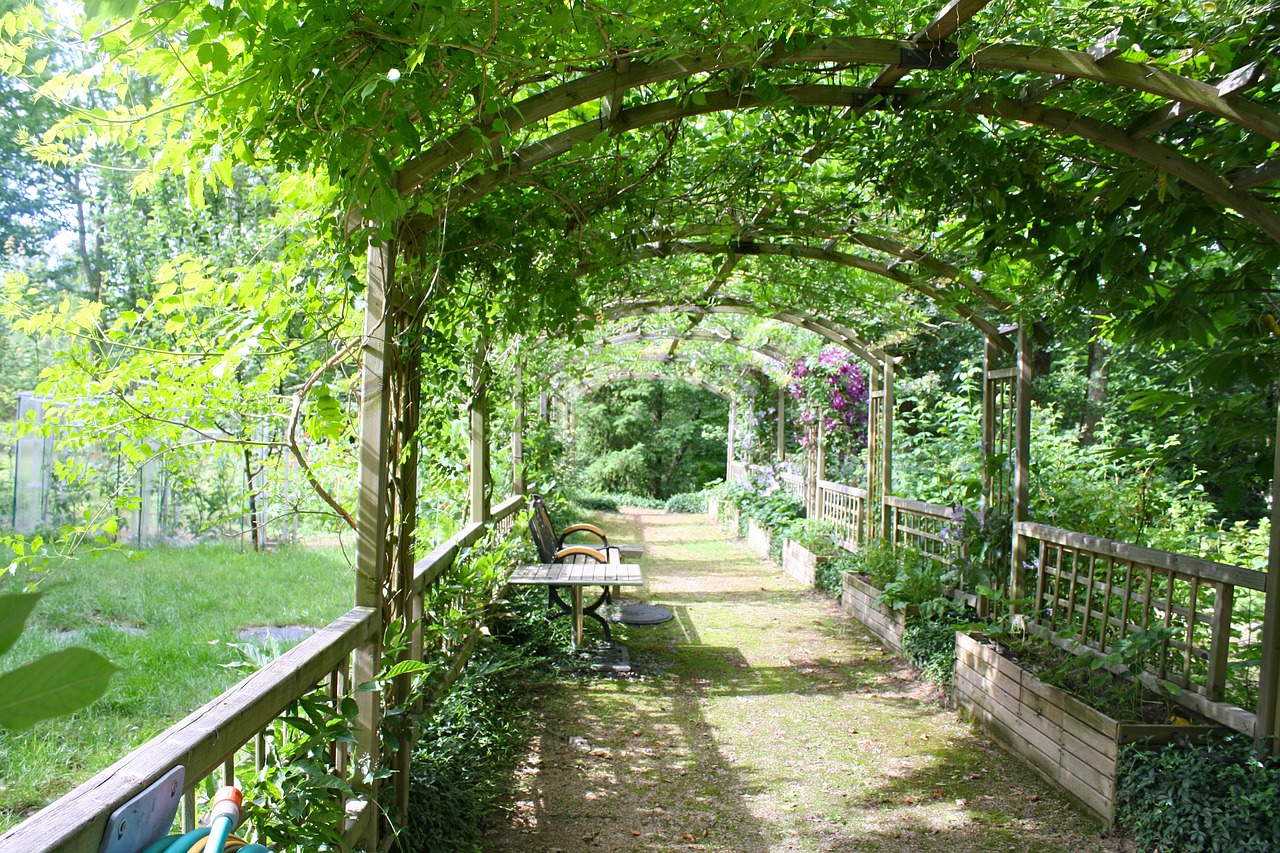 How to Build a DIY Pergola with Climbing Plants